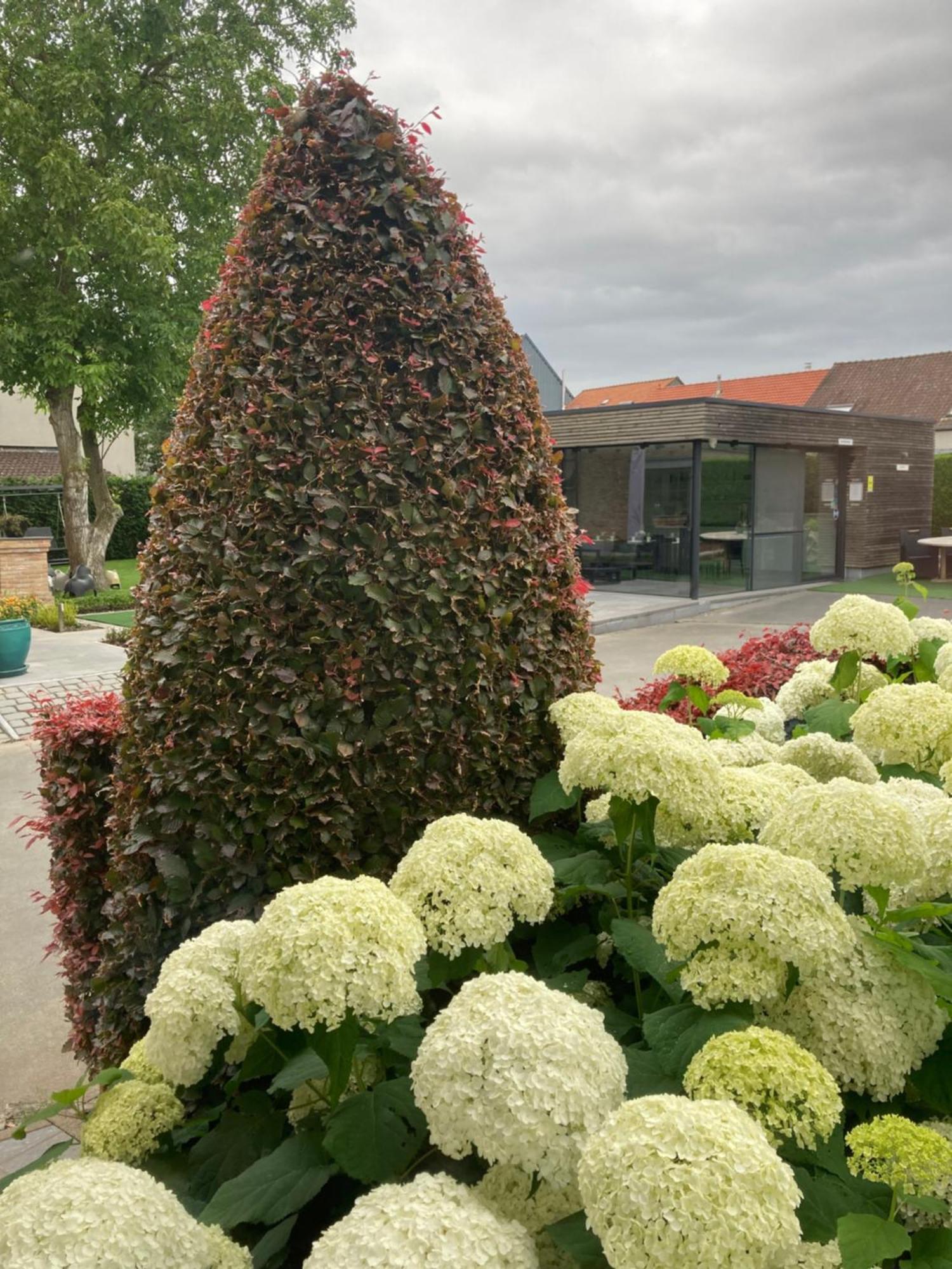 B&B Bertem Natuur Kültér fotó